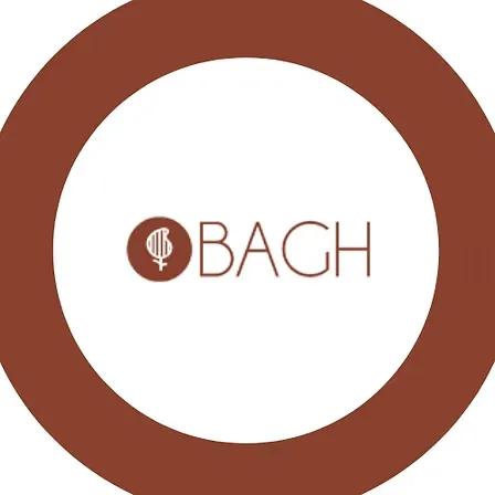 Bagh Brand Client Logo